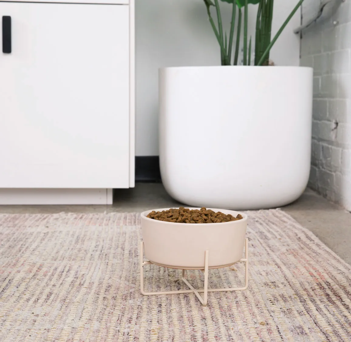 Simple Solid Bowl   Dog Bowl Stand