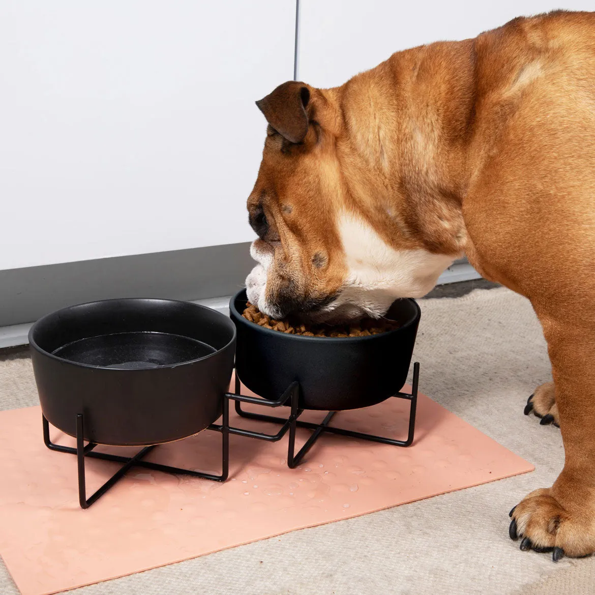 Simple Solid Double Feeder Bowl   Dog Bowl Stand