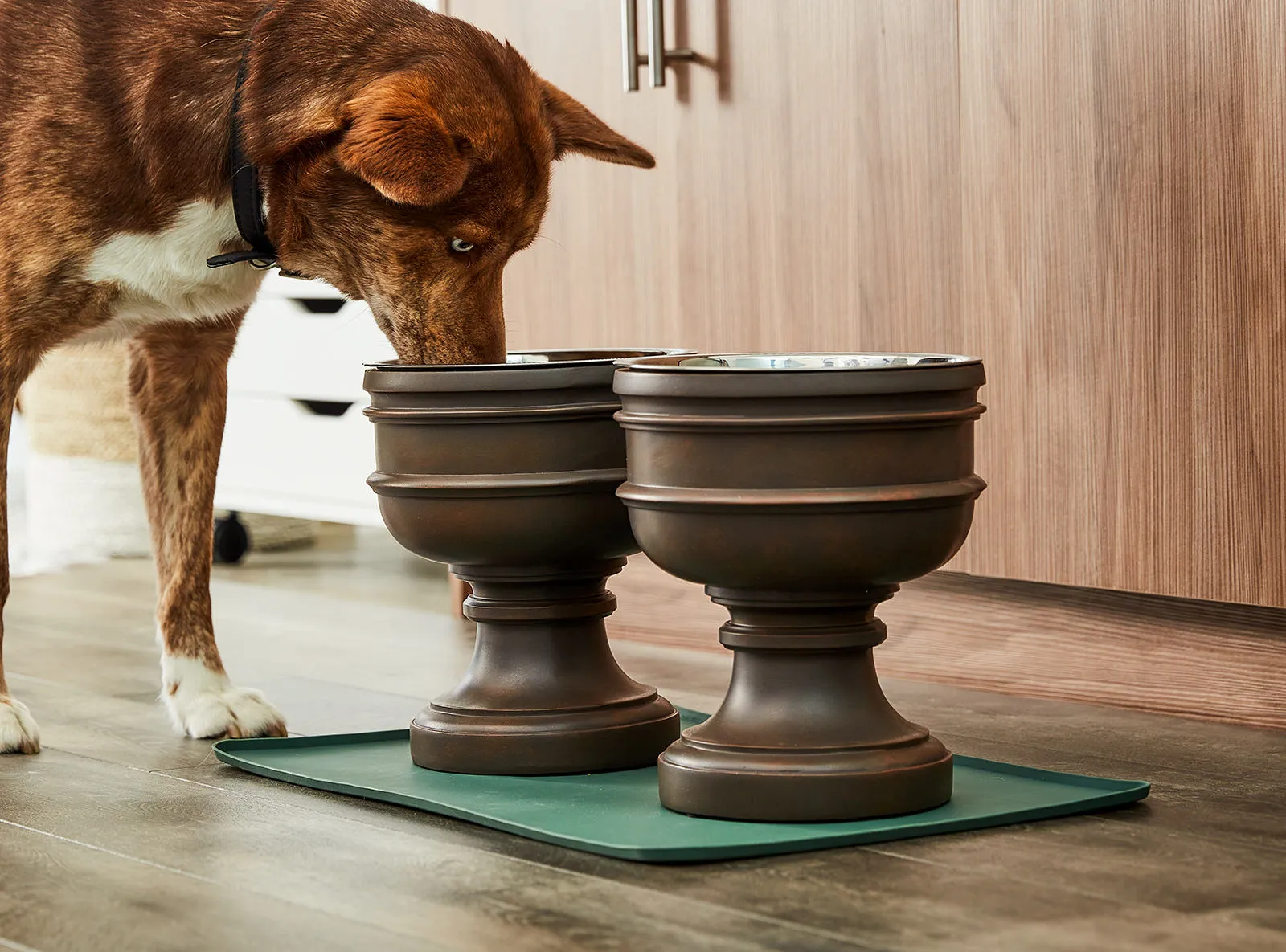 Summit (Two, Large) and Bowl Mat Bundle
