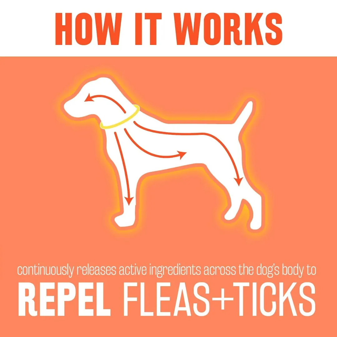 Tropiclean Natural Flea & Tick Dog Collar