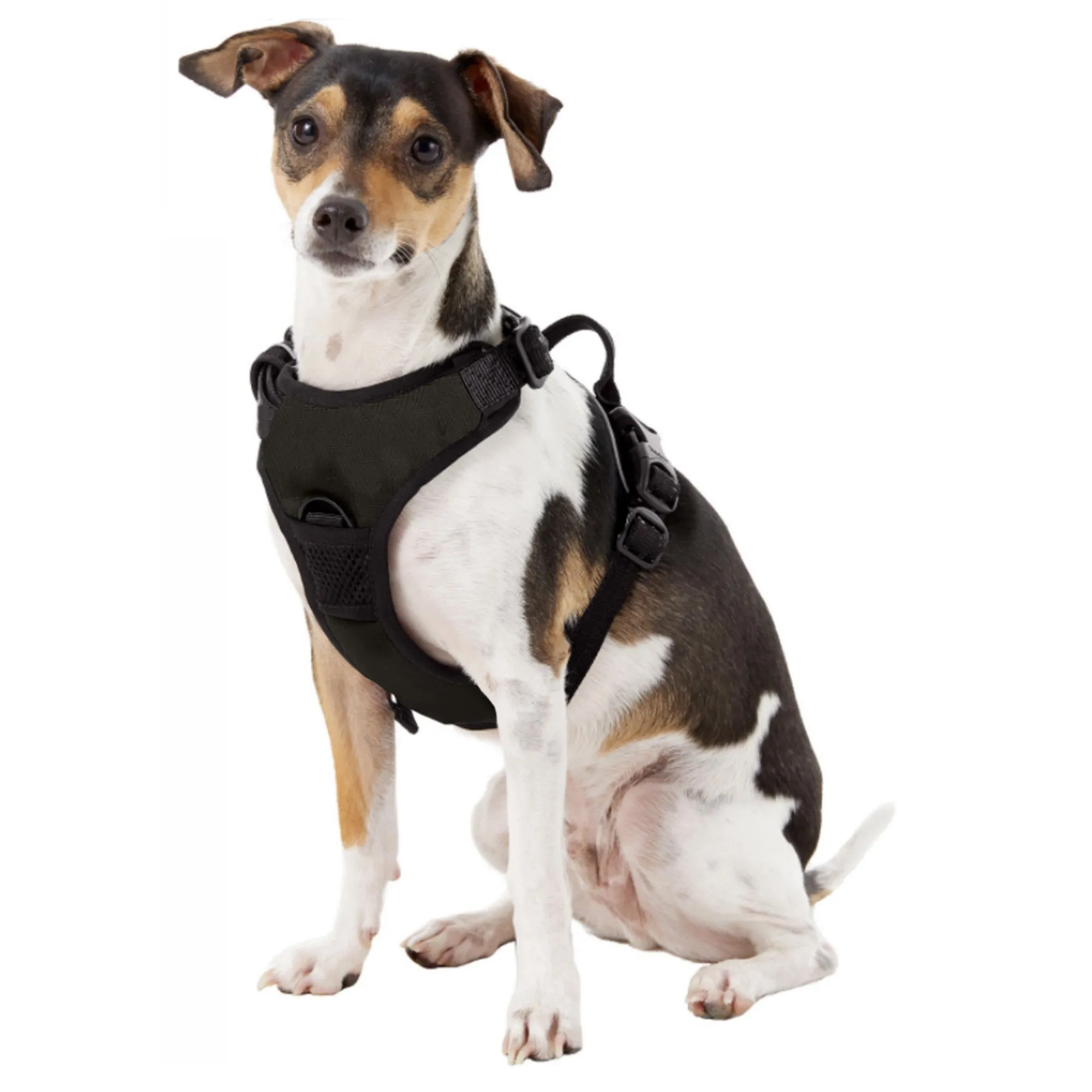 University of Texas Front Clip Pet Harness