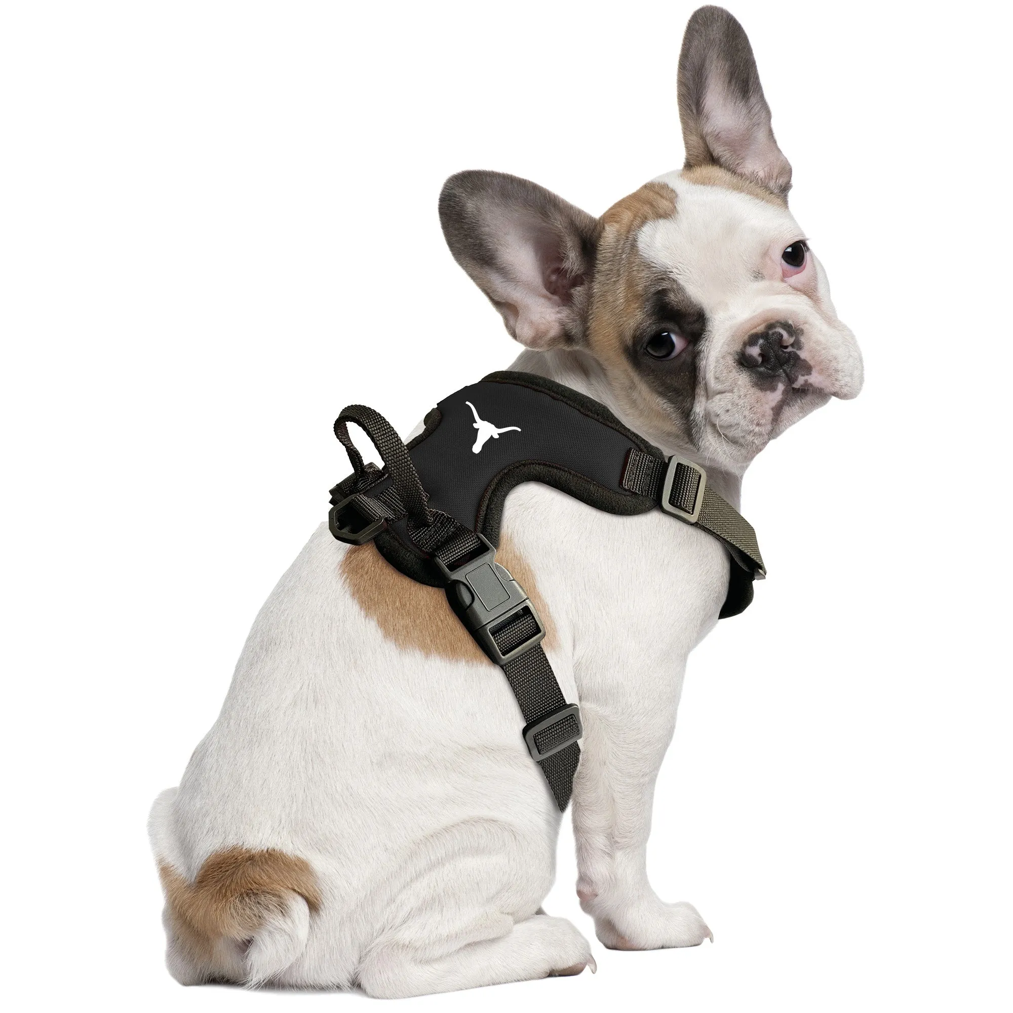 University of Texas Front Clip Pet Harness