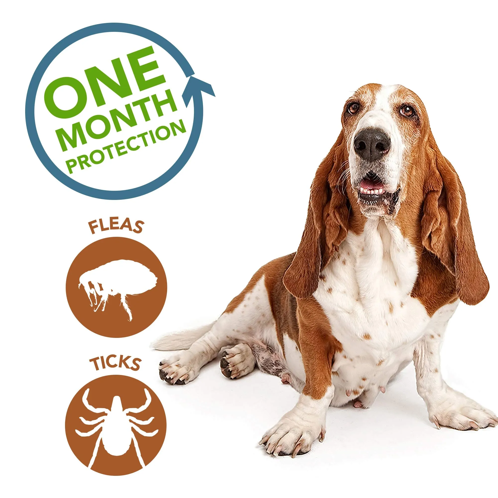 Vet's Best Plant Based Flea and Tick Spot-On Treatment Drops for Dogs - 3.1 ml - Medium - 4 Count